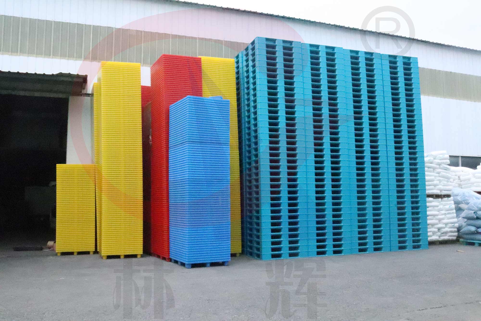 IMG_4977.jpg IMG_4977.jpg